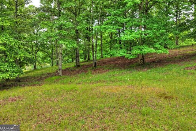 20.11 AC Mountain View Road, Mccaysville, GA 30555