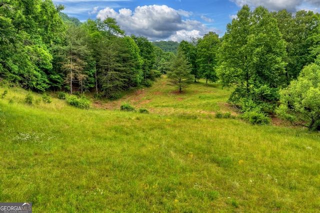 20.11 AC Mountain View Road, Mccaysville, GA 30555