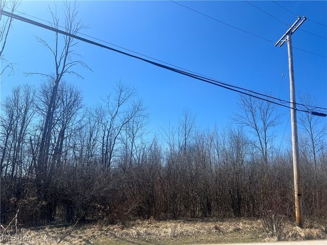 681&682 Rome Rock Creek Road, Roaming Shores, OH 44084