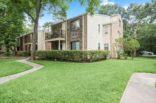 3500 Tangle Brush Drive 102, Spring, TX 77381