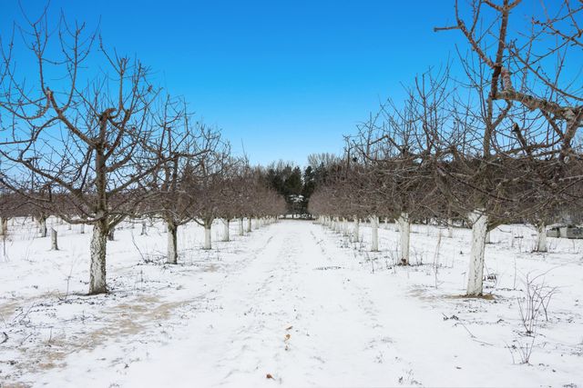 8392 Monarch Lane, Whitewater Twp, MI 49690