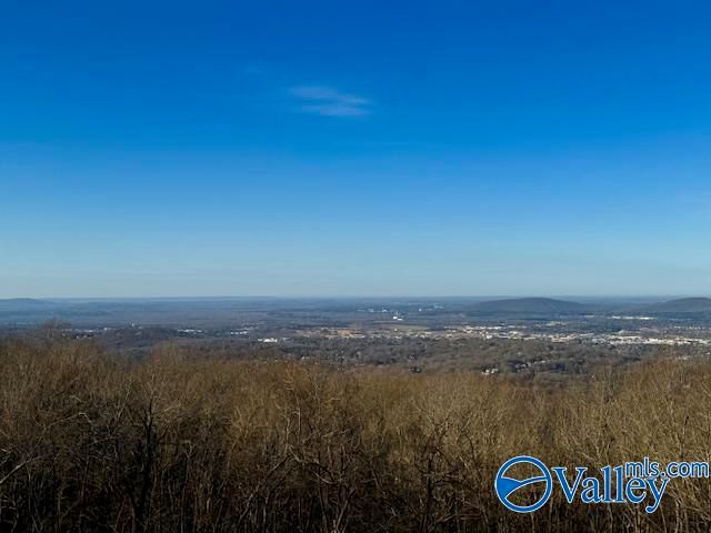 3004 Thompson Circle, Huntsville, AL 35801