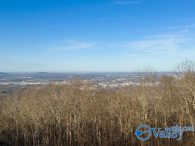 3004 Thompson Circle, Huntsville, AL 35801