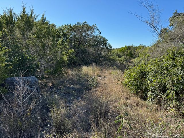 LOT 193 County Road 2801, Mico, TX 78056