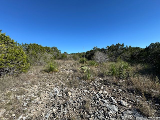 LOT 193 County Road 2801, Mico, TX 78056