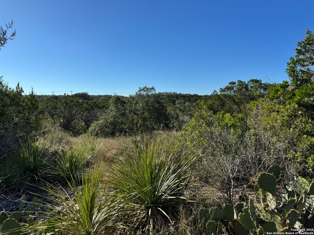 LOT 193 County Road 2801, Mico, TX 78056