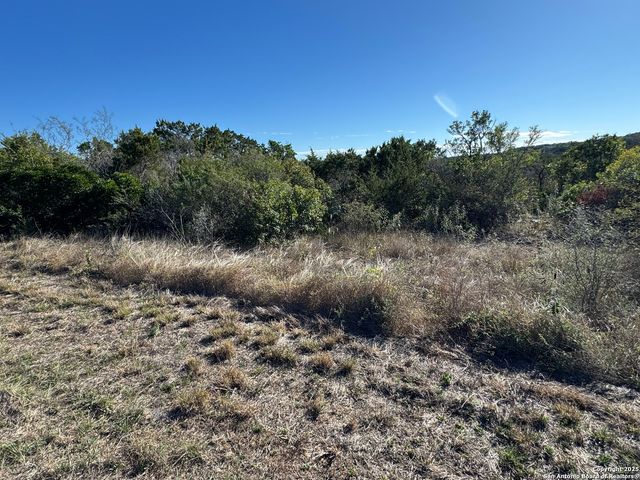 LOT 193 County Road 2801, Mico, TX 78056