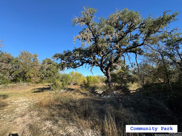 LOT 193 County Road 2801, Mico, TX 78056