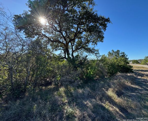 LOT 193 County Road 2801, Mico, TX 78056