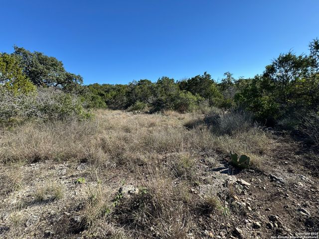 LOT 193 County Road 2801, Mico, TX 78056