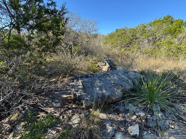 LOT 193 County Road 2801, Mico, TX 78056