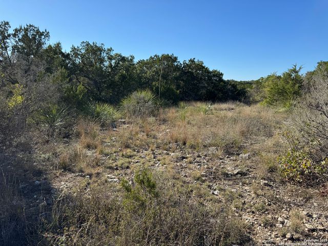 LOT 193 County Road 2801, Mico, TX 78056
