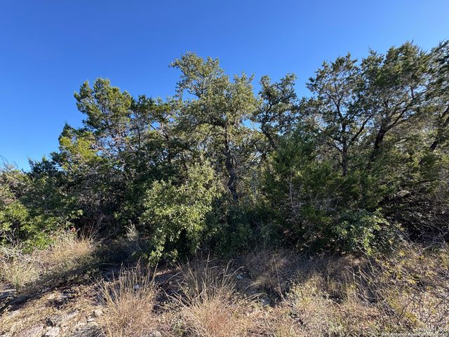 LOT 193 County Road 2801, Mico, TX 78056