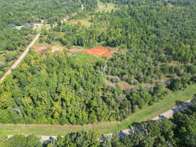 11163 Moser Ln, Whitehouse, TX 75791
