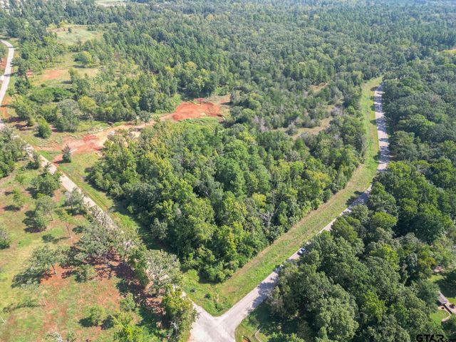 11163 Moser Ln, Whitehouse, TX 75791