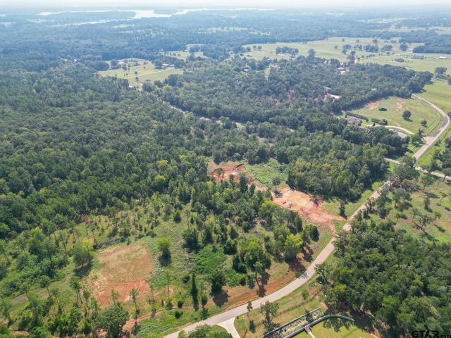 11163 Moser Ln, Whitehouse, TX 75791