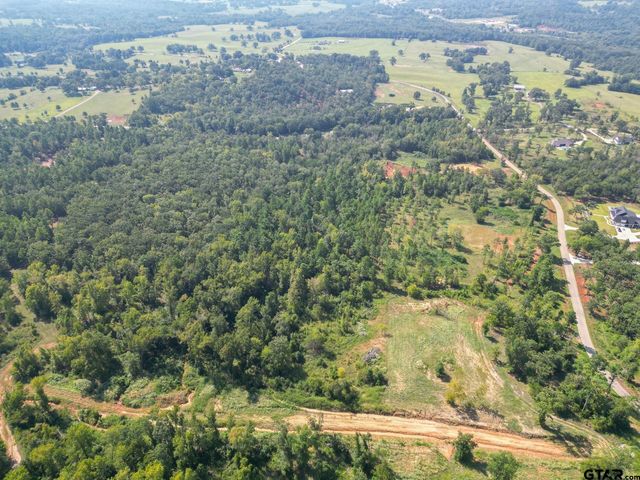 11163 Moser Ln, Whitehouse, TX 75791