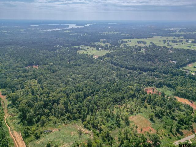 11163 Moser Ln, Whitehouse, TX 75791