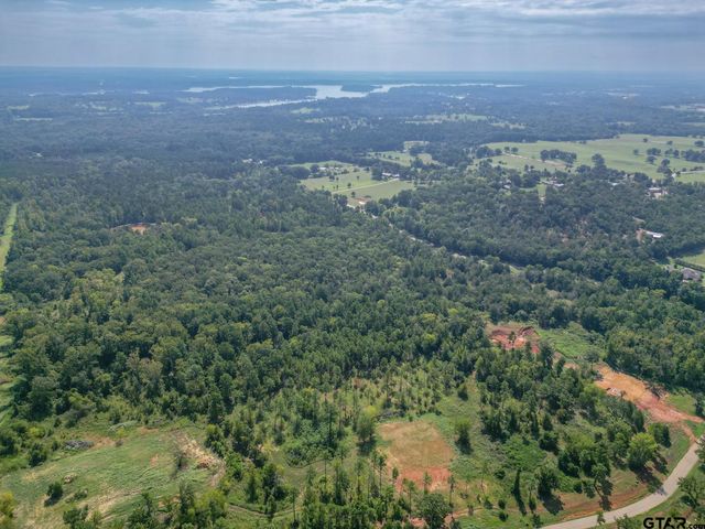 11163 Moser Ln, Whitehouse, TX 75791