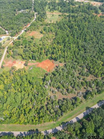 11163 Moser Ln, Whitehouse, TX 75791
