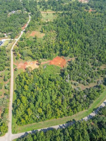 11163 Moser Ln, Whitehouse, TX 75791