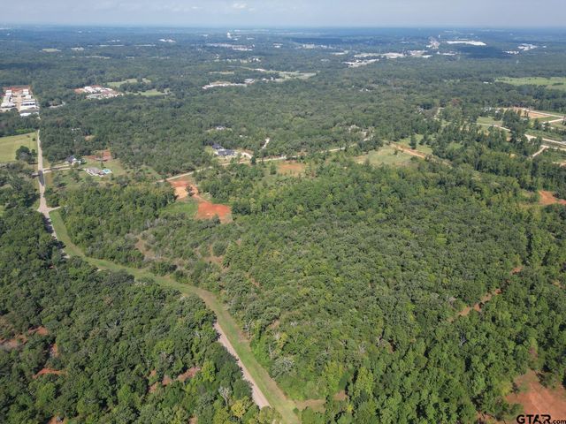 11163 Moser Ln, Whitehouse, TX 75791