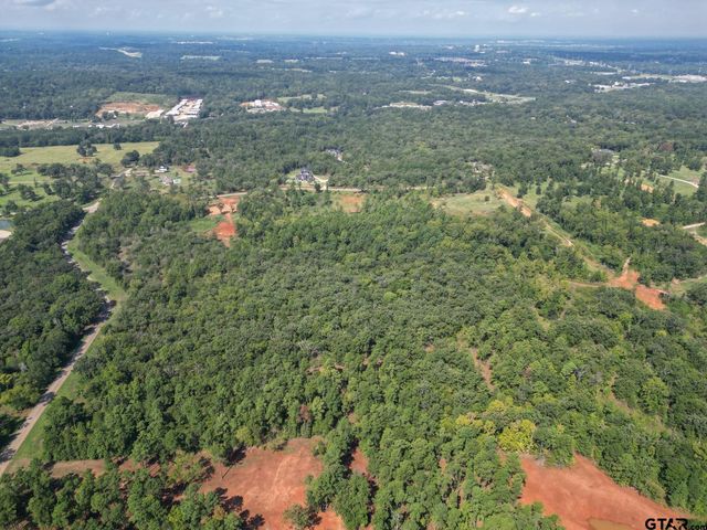11163 Moser Ln, Whitehouse, TX 75791