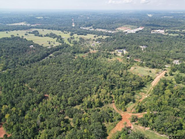 11163 Moser Ln, Whitehouse, TX 75791