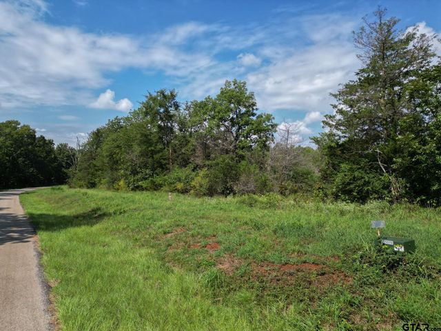 11163 Moser Ln, Whitehouse, TX 75791