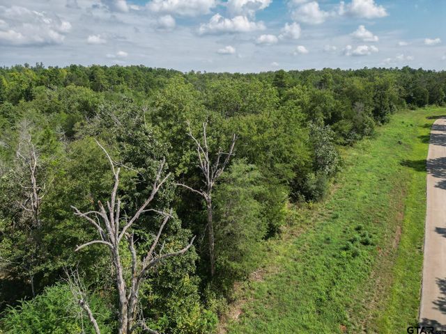 11163 Moser Ln, Whitehouse, TX 75791