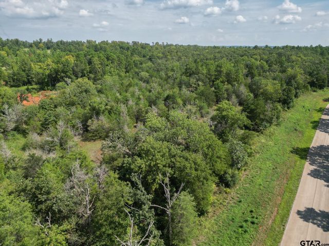 11163 Moser Ln, Whitehouse, TX 75791