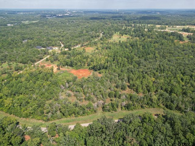 11163 Moser Ln, Whitehouse, TX 75791