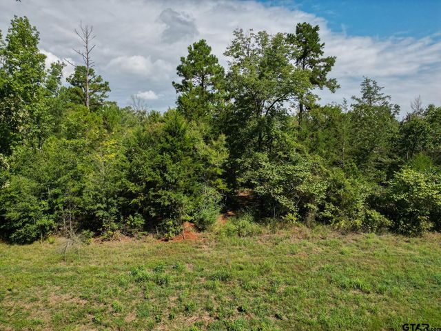 11163 Moser Ln, Whitehouse, TX 75791