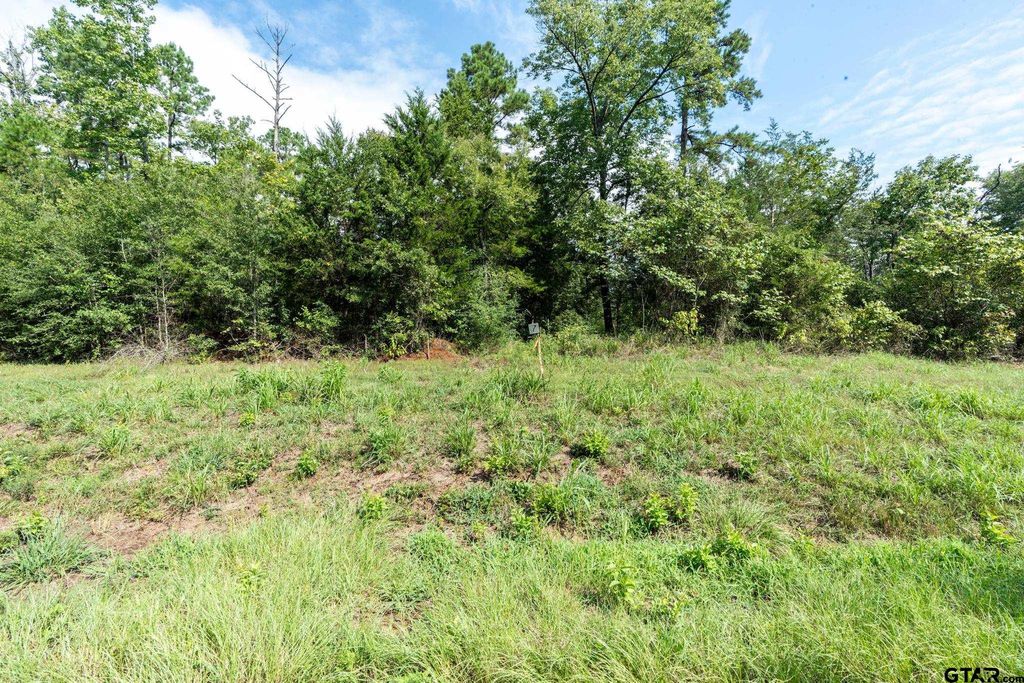 11163 Moser Ln, Whitehouse, TX 75791