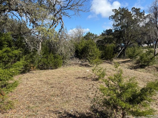 985 Deer Run Pass, Canyon Lake, TX 78133