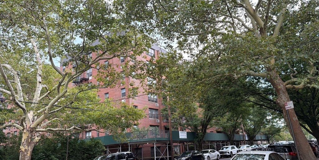1199 E 53RD Street # 156, New York City, NY 11234