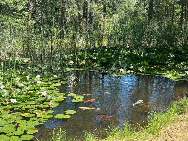 7722 Hidden Creek Lane, Shingletown, CA 96088