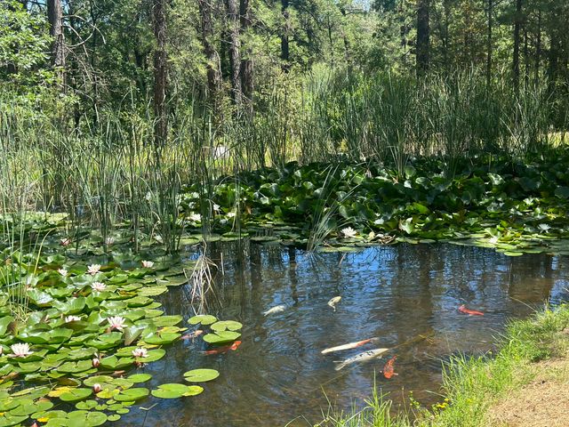 7722 Hidden Creek Lane, Shingletown, CA 96088