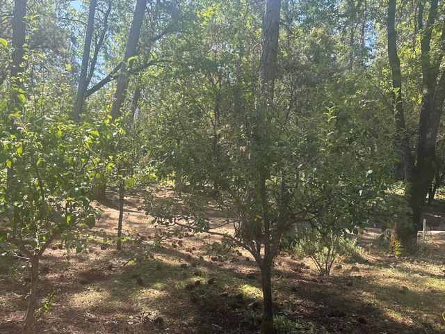 7722 Hidden Creek Lane, Shingletown, CA 96088