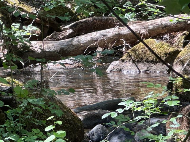 7722 Hidden Creek Lane, Shingletown, CA 96088