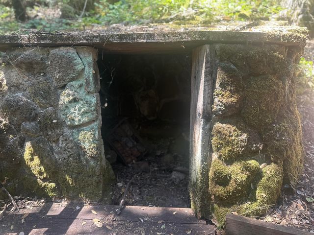 7722 Hidden Creek Lane, Shingletown, CA 96088