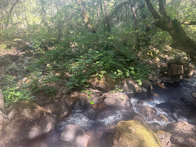 7722 Hidden Creek Lane, Shingletown, CA 96088