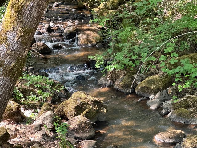 7722 Hidden Creek Lane, Shingletown, CA 96088