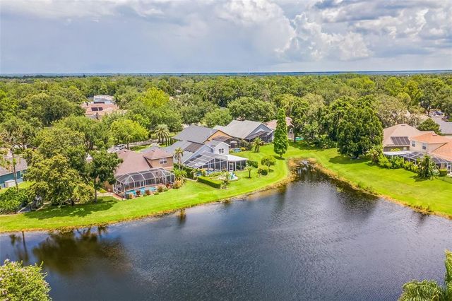 15105 TEALRISE WAY, Lithia, FL 33547