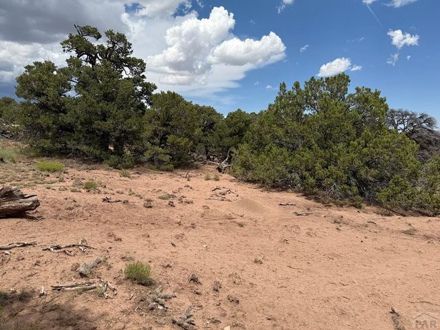Lot 116 Comanche Dr, Walsenburg, CO 81089