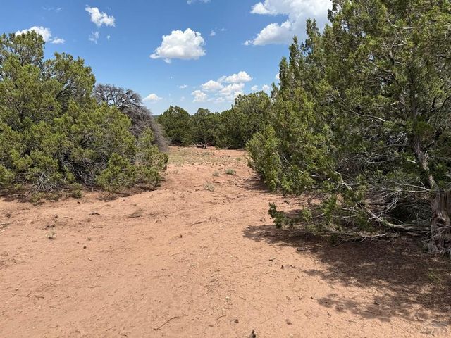Lot 116 Comanche Dr, Walsenburg, CO 81089