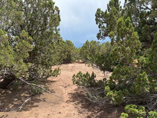 Lot 116 Comanche Dr, Walsenburg, CO 81089
