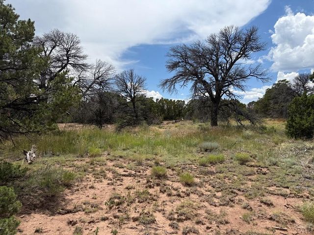 Lot 116 Comanche Dr, Walsenburg, CO 81089