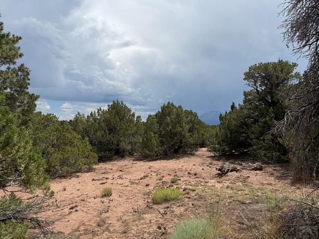 Lot 116 Comanche Dr, Walsenburg, CO 81089