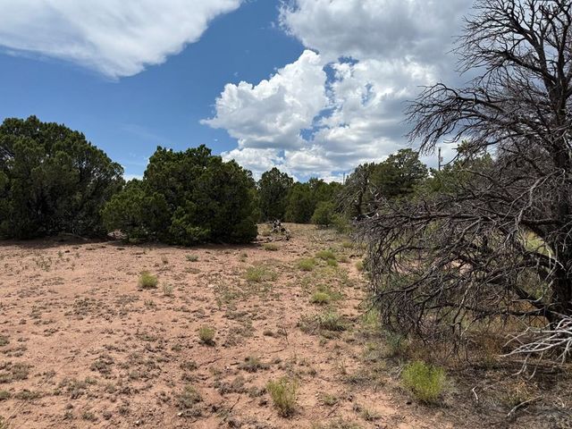 Lot 116 Comanche Dr, Walsenburg, CO 81089